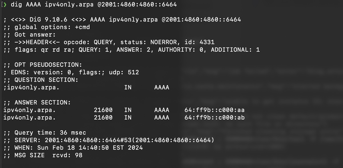 Screenshot of query to ipv4only.arpa